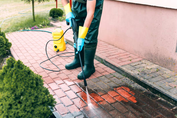 Best Local Pressure Washing Services  in Ville Ptte, LA