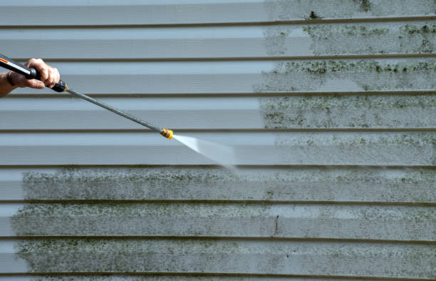 Best Sidewalk Pressure Washing  in Ville Ptte, LA